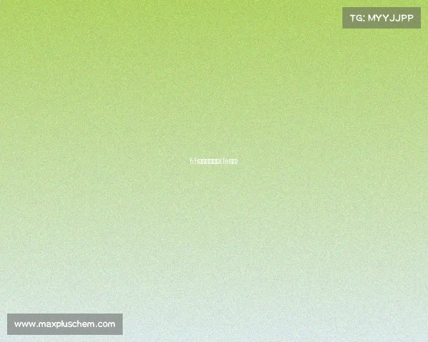 fifi电子竞技对战(fe电竞)