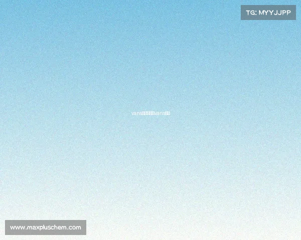 vans电子竞技—vans游戏