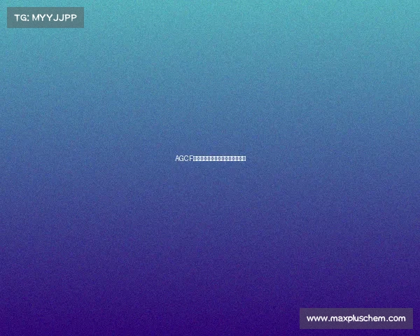 AGCF战队集结号吹响，新征程正式启航